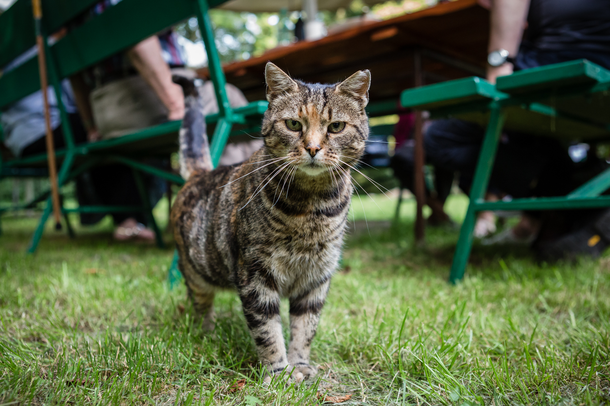 048 Rekolekcje OCDS Pliszczyn 0825